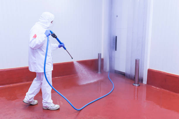Best Winterizing Services  in Woodstock, IL